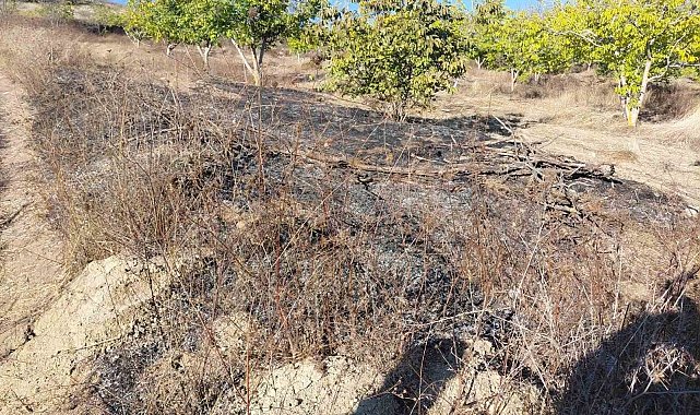 Bilecik'te ceviz bahçesinde çıkan yangın söndürüldü