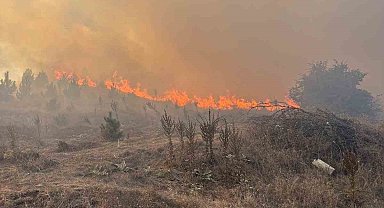 Bilecik'te makilik alanda çıkan yangın rüzgarın etkisiyle büyüyor