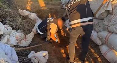 Bingöl'de 4 kilo 450 gram esrar ele geçirildi