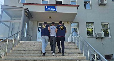 Bingöl'de 5 bin 176 kök kenevir ele geçirildi