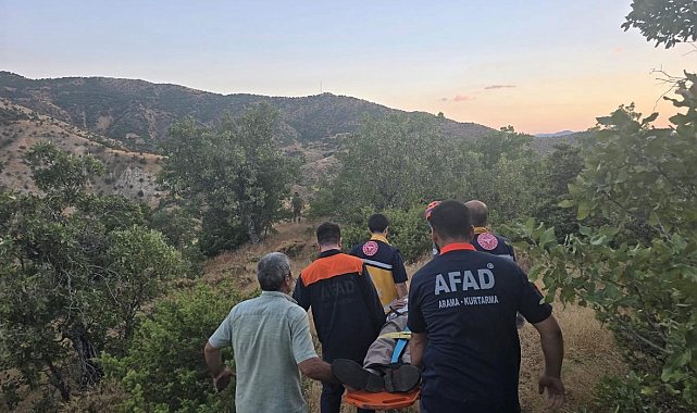Bingöl'de kaybolan şahıs ormanlık alanda bulundu