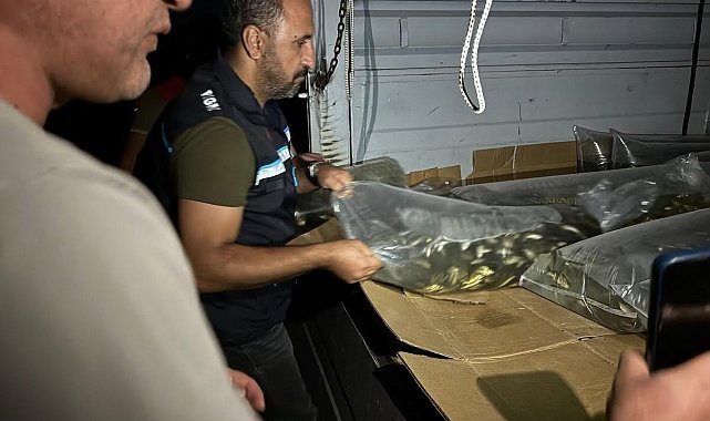 Bitlis'te göl ve göletlere 1 milyon 397 bin 500 yavru sazan bırakıldı