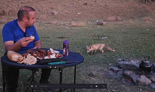 Bitlis'te piknik sofrasına davetsiz misafir