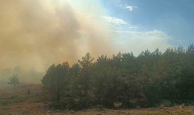 Bolu'da anız yangını ormana sıçradı: 2 helikopter sevk edildi