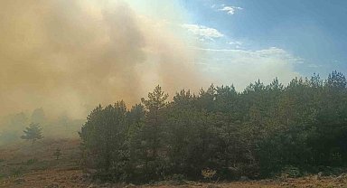 Bolu'da anız yangını ormana sıçradı: 2 helikopter sevk edildi