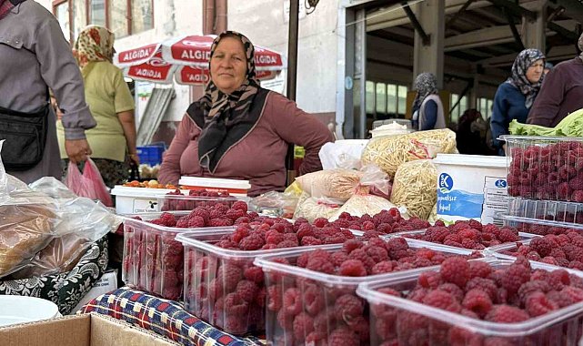 Bolu'da köylüler hem üretiyor hem satıyor