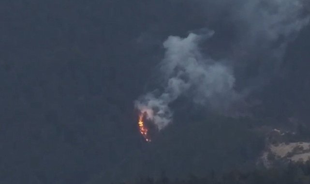 Bolu'da ormanlık alanda yangın çıktı