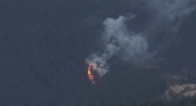 Bolu'da ormanlık alanda yangın çıktı