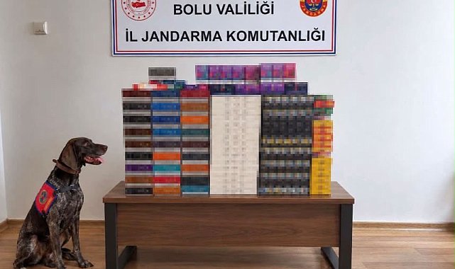 Bolu'da yolcu otobüslerinde kaçak tütün operasyonu: Piyasa değeri 760 bin TL