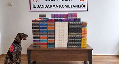 Bolu'da yolcu otobüslerinde kaçak tütün operasyonu: Piyasa değeri 760 bin TL