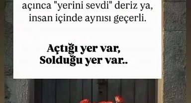 Boşanma aşamasındaki eşi tarafından öldürülen kadının olaydan 2 saat önceki paylaşımları dikkat çekti