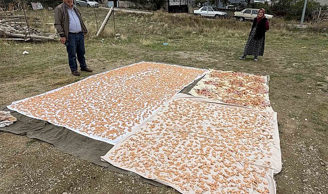 Boyabat'ta kış hazırlıkları başladı: Tarhana mesaisi