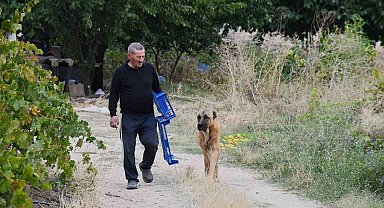 Bozkırın ortasında 15 yıllık emek: Emekli öğretmen yeşil vaha oluşturdu