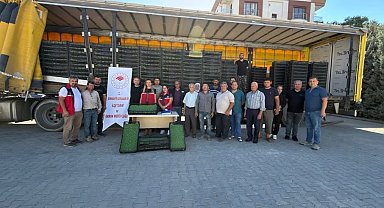 Burhaniye'de çiftçilere 300 bin 300 adet marul fidesi dağıtıldı