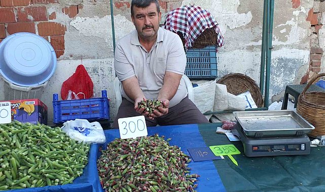 Burhaniye'de kınalı bamya ilgi gördü