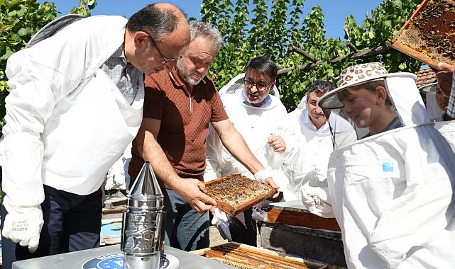 Bursa Büyükşehir'den Keles'te bal hasadı