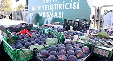 Bursa Nilüfer 12. Akçalar Fadıllı İncir Festivali'ne hazır