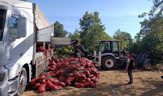 Bursa'da 8 ton midye ele geçirildi