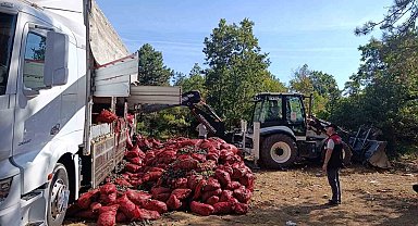 Bursa'da 8 ton midye ele geçirildi