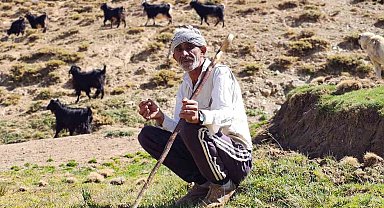 Bursa'dan köyüne döndü, hayvancılıkla geçimini sağlıyor