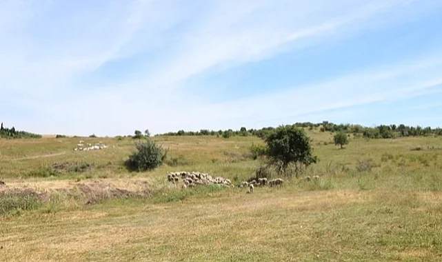 Bursa'da 2 bin 693 dekar alanda mera ıslahı yapılacak