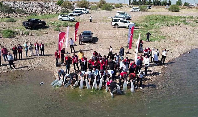 Çamgazi Baraj Göleti'ne 680 bin yavru sazan bırakıldı