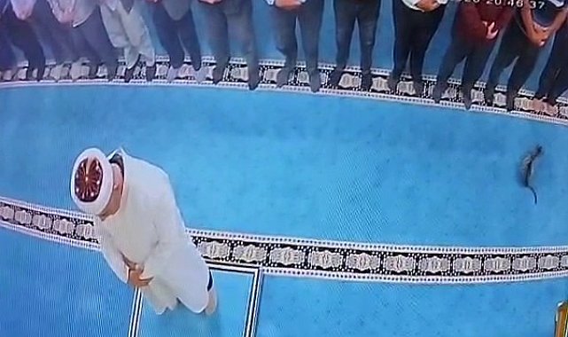 Camide kediyi tekmeleyen şahsa sosyal medyada tepki yağdı: Başsavcılık harekete geçti, gözaltına alındı