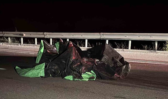 Çanakkale'de aracın çarptığı yaşlı adam hayatını kaybetti