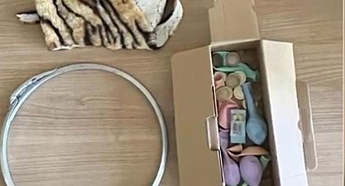 Çekirdek satan çocuğun tezgahındaki para ve eşyalarını çalan 3 kişi yakalandı