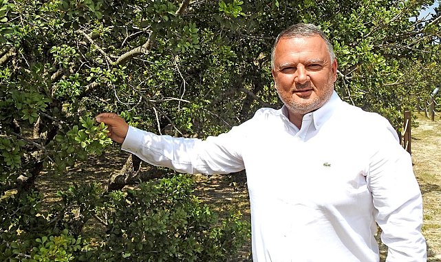 Çeşme damla sakızı uluslararası bilimsel yayına konu oldu
