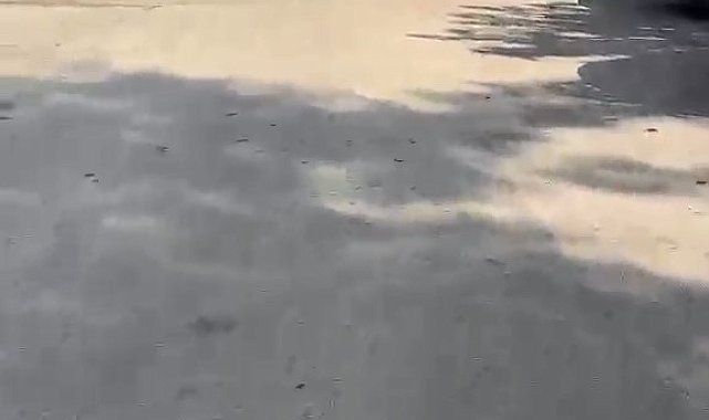 Çocukların limonatalarını Bursa Büyükşehir ekipleri satın aldı