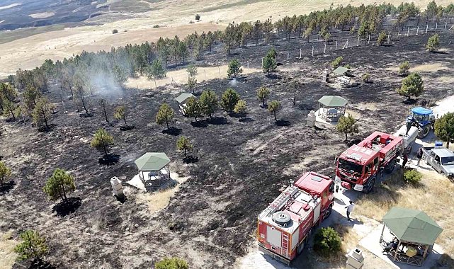 Çorum'da örtü yangını ormana sıçradı, 800 dönüm alan yandı
