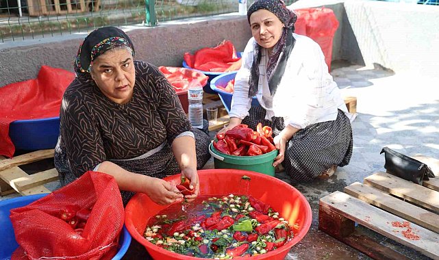 Damlar şarkılı türkülü salça mesaisi ile kırmızıya boyandı