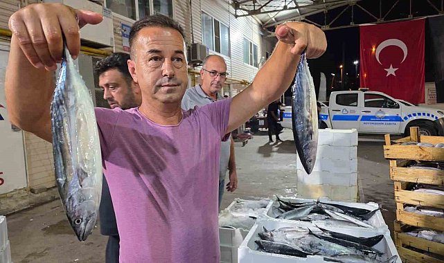 Denizlerde av sezonu başladı, Marmara'da ilk gün sardalya bereketi yaşandı