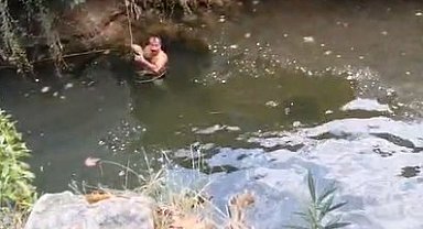 Derede mahsur kalan kaplumbağayı yüzerek kurtardı