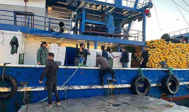 Didim'de hamsi kotası denetimleri sürüyor
