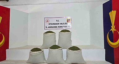 Diyarbakır'da 14 bin kök kenevir, 129 kilo esrar ele geçirildi