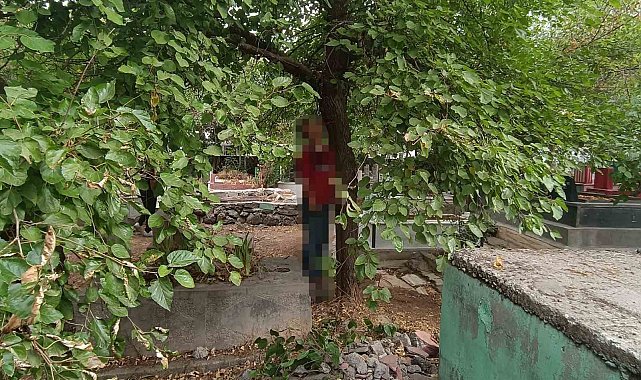 Diyarbakır'da bir kişi, mezarlıkta ağaca asılı halde ölü bulundu