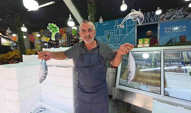 Düzce'de palamut tezgaha indi, vatandaş sıraya girdi
