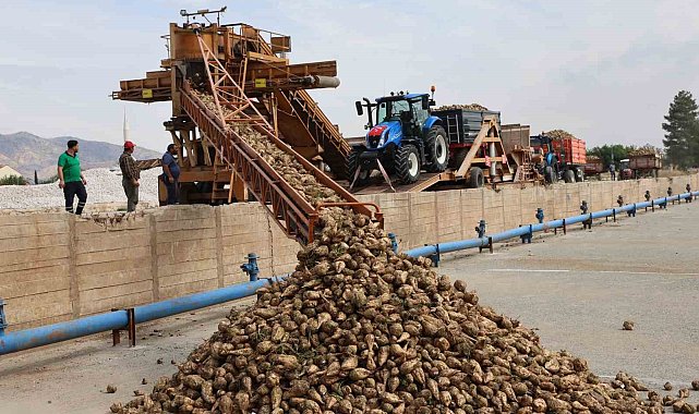 Elazığ Şeker Fabrikası'nda 71. Kampanya Dönemi açıldı: 240 bin ton pancar işlenecek