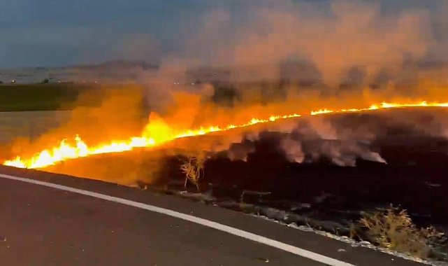 Elazığ'da arazi yangını