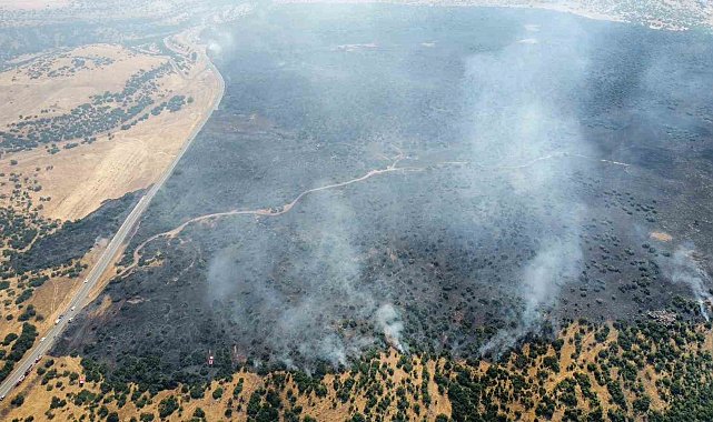 Elazığ'da kırsalda başlayan yangın ormanlık alana sıçradı: Müdahale sürüyor