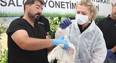 Elazığ'da kuş gribi eğitimi