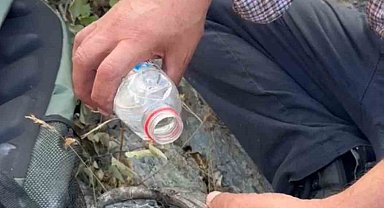 Elazığ'da yangından kaçan kaplumbağaya vatandaşlar sahip çıktı