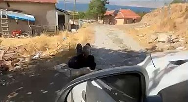 Elazığ'da yaşlı bir adam, eşi tarafından zincirle ağaca bağlanmış şekilde görüntülendi