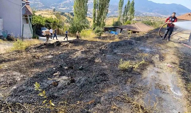 Emet'te ot yangını büyümeden söndürüldü