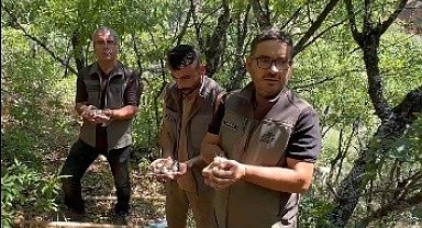 Endemik dağ sarımsağını söken 3 kişiye, 2 milyon lira ceza