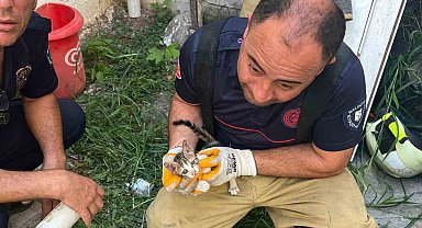 Erdek'te iki bina arasına sıkışan yavru kedi kurtarıldı