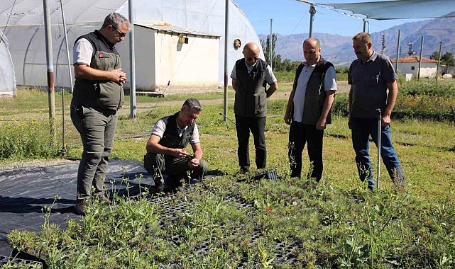 Erzincan Fidanlık Şefliğinde 2026 yılı üretim çalışmaları incelendi