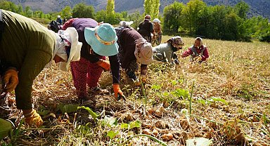 Erzincan'a 169,6 milyon liralık tarımsal hibe desteği